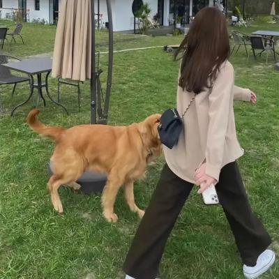 正经好人